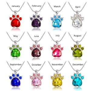 Birthstone Paw Print Pendant w/ Necklace
